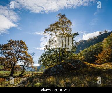 Herbstszene im Watendlath Valley, English Lake District, Großbritannien Stockfoto