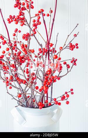 Winterberries, ein einheimischer nordamerikanischer Strauch, in einer kleinen Dose Milchdose angeordnet. Stockfoto