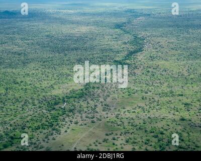 Luftaufnahme des Wasserlaufs auf der Serengeti-Ebene, Serengeti-Nationalpark, UNESCO-Weltkulturerbe, Tansania, Ostafrika, Afrika Stockfoto