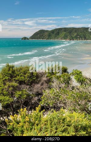 Wainui Bay, Golden Bay, Tasman, Südinsel, Neuseeland, Pazifik Stockfoto