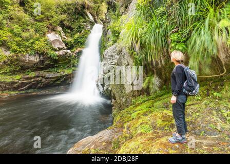 Wainui Falls, Wainui Falls Track, Golden Bay, Tasman, Südinsel, Neuseeland, Pazifik Stockfoto