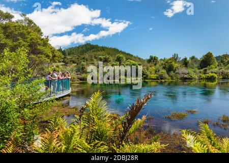 TE Waikoropupu Springs (Pupu Springs), heilige Quelle der Maoris, Golden Bay, Tasman, Südinsel, Neuseeland, Pazifik Stockfoto