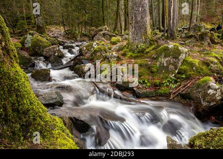 Gebirgsbach Scouet unterhalb des Großen Wasserfalls von Tendon Stockfoto