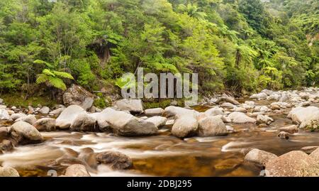 Wainui River, Wainui Falls Track, Golden Bay, Tasman, Südinsel, Neuseeland, Pazifik Stockfoto