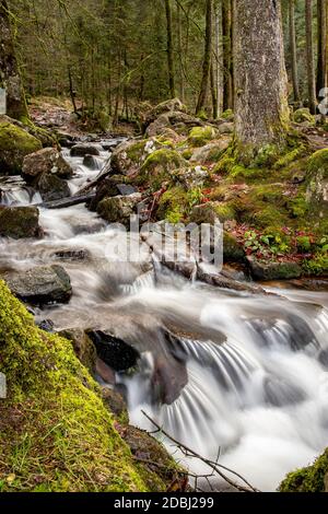 Gebirgsbach Scouet unterhalb des Großen Wasserfalls von Tendon Stockfoto