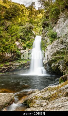 Wainui Falls, Wainui Falls Track, Golden Bay, Tasman, Südinsel, Neuseeland, Pazifik Stockfoto