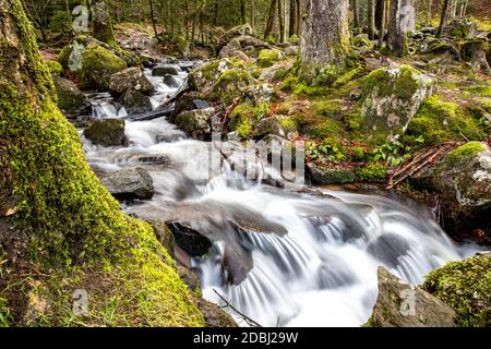 Gebirgsbach Scouet unterhalb des Großen Wasserfalls von Tendon Stockfoto