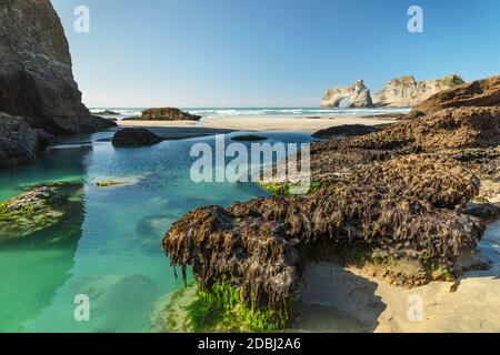 Wharariki Beach, Golden Bay, Tasman, Südinsel, Neuseeland, Pazifik Stockfoto