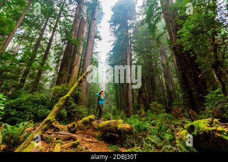 Frau beim Erkunden des Mount Shasta Forest, Kalifornien, USA, Nordamerika Stockfoto