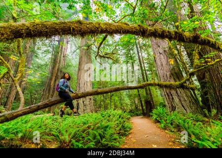 Frau beim Erkunden des Mount Shasta Forest, Kalifornien, USA, Nordamerika Stockfoto