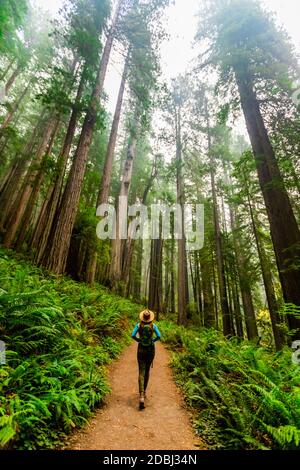 Frau beim Erkunden des Mount Shasta Forest, Kalifornien, USA, Nordamerika Stockfoto