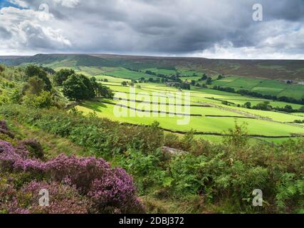 Spätsommerliches Sonnenlicht auf der Stonebeck Gate Farm, Little Fryup Dale, dem North Yorkshire Moors National Park, Yorkshire, England, Großbritannien, Europa Stockfoto