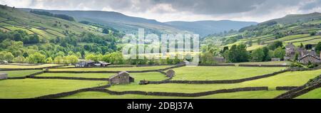 Dales out Scheunen und Trockenmauern in Gunnerside in Swaledale, der Yorkshire Dales Nationalpark, Yorkshire, England, Vereinigtes Königreich, Europa Stockfoto