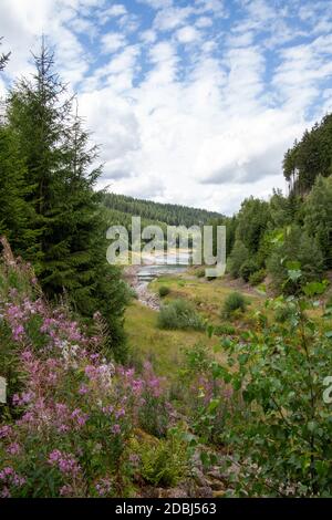 Einlass des schmalen Wassers in den schmalen Wasserdamm Stockfoto