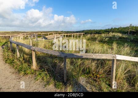 Aussichtspunkt Turfveld mit Panoramablick auf den Nationalpark Dünen Texel, Nordholland, Niederlande Stockfoto