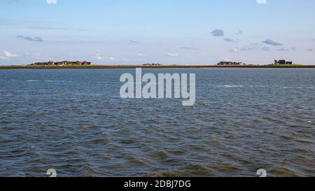 Hallig Hooge im Wattenmeer Nordfriesland Stockfoto