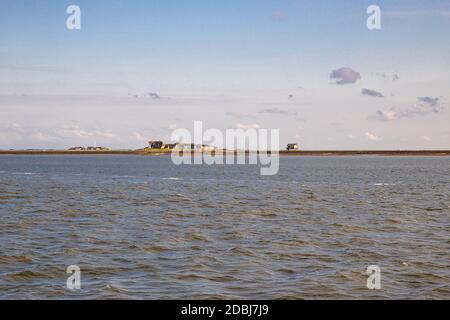 Hallig Hooge im Wattenmeer Nordfriesland Stockfoto