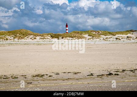 Amrum Leuchtturm hinter Dünen Stockfoto