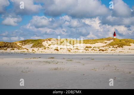 Amrum Leuchtturm hinter Dünen Stockfoto