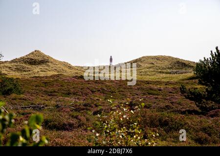 Amrum Leuchtturm hinter Dünen Stockfoto