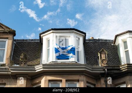 Scottish Independence ja Saltire Flagge im Hausfenster in Stirling, Schottland, Großbritannien im Jahr 2020 Stockfoto