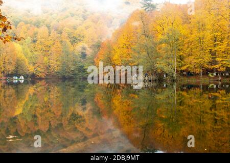 Herbstfarben. Bunt gefallene Blätter im See. Herrliche Landschaft. Natonial Park. Yedigoller. Bolu, Istanbul, Türkei. Stockfoto