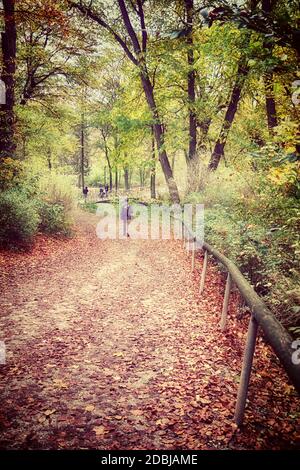 München englischer Garten im Herbst machen die Menschen einen Spaziergang auf einem Weg, der von gefallenen Blättern bedeckt ist Stockfoto