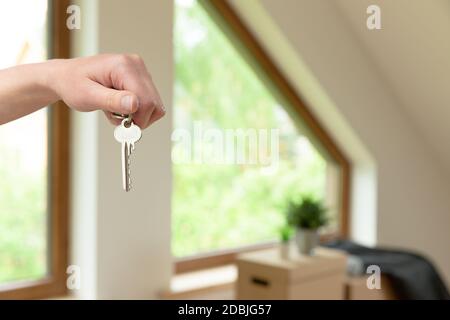 Verschieben. Pappkartons für den Umzug in ein neues, sauberes Zuhause. An einem sonnigen Tag durch ein Fenster im Dachgeschoss. Stockfoto