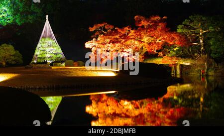 Japanisches Gartenbild Stockfoto