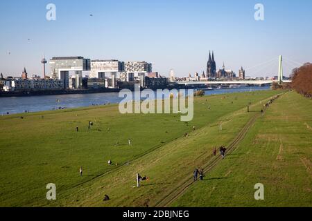 Rheinauen im Stadtteil Deutz, die Kranichhäuser im Rheinauer Hafen, im Hintergrund der Dom, Köln, Deutschland. Die Rheinwi Stockfoto