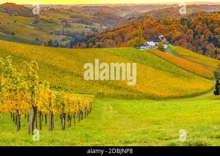 Herbstlandschaft mit südsteirischen Weinbergen, bekannt als österreichische Toskana, ein charmantes Region an der Grenze zwischen Österreich und Slowenien mit Rolling Hügel Stockfoto