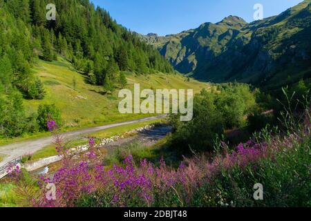 Planaval, val Aosta, Italien Stockfoto