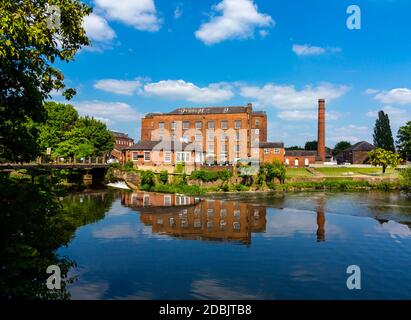 Der Fluss Derwent und Wildschweine Head Mills in Darley Abbey Ein Dorf in der Nähe von Derby in den East Midlands England Stockfoto