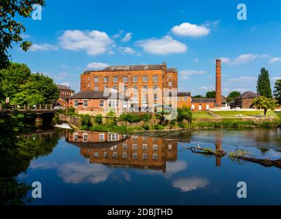 Der Fluss Derwent und Wildschweine Head Mills in Darley Abbey Ein Dorf in der Nähe von Derby in den East Midlands England Stockfoto