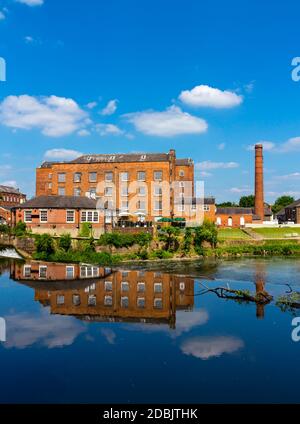 Der Fluss Derwent und Wildschweine Head Mills in Darley Abbey Ein Dorf in der Nähe von Derby in den East Midlands England Stockfoto