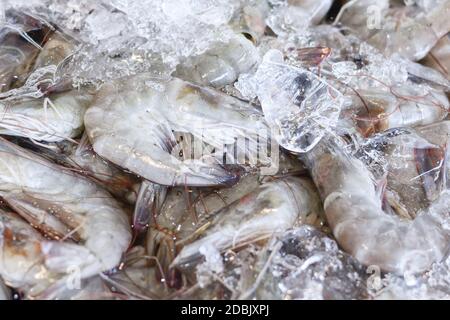 Frische weiße Garnelen mit kaltem Eis zum Verkauf auf dem Meeresfrüchtemarkt, Closeup Fresh Sea Food, frische Garnelen auf dem Straßenmarkt in Thailand, Draufsicht Stockfoto