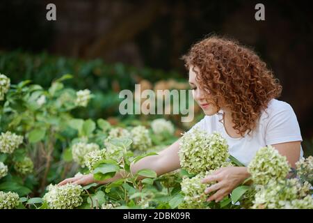 Junge Frau im Garten im Hinterhof auf einem sonnigen Frühlingstag Stockfoto