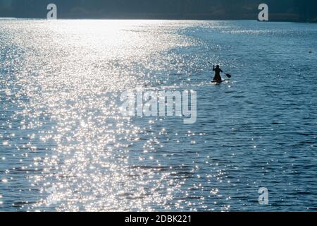 Frau aktiv im SUP, Stand-Up-Paddling am Selker Noor See, Busdorf bei Schleswig, Schleswig-Holstein, norddeutschland, Mitteleuropa Stockfoto