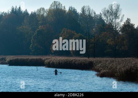 Frau aktiv im SUP, Stand-Up-Paddling am Selker Noor See, Busdorf bei Schleswig, Schleswig-Holstein, norddeutschland, Mitteleuropa Stockfoto