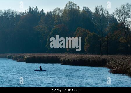 Frau aktiv im SUP, Stand-Up-Paddling am Selker Noor See, Busdorf bei Schleswig, Schleswig-Holstein, norddeutschland, Mitteleuropa Stockfoto