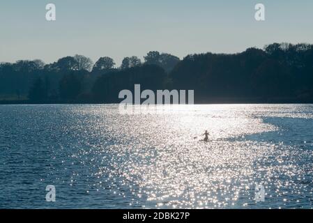 Frau aktiv im SUP, Stand-Up-Paddling am Selker Noor See, Busdorf bei Schleswig, Schleswig-Holstein, norddeutschland, Mitteleuropa Stockfoto