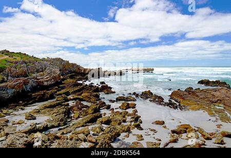 Die Küste von Hermanus in Südafrika Stockfoto