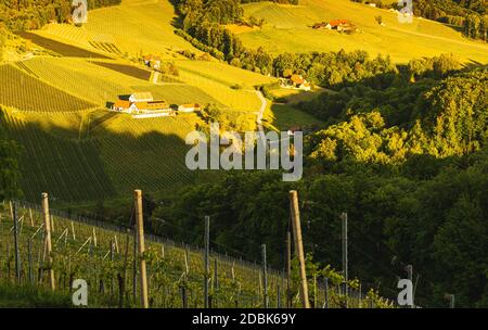 Sonnenuntergang über der Weinberglandschaft der Südsteiermark in Steiermark, Österreich. Schönes ruhiges Ziel für einen Besuch des berühmten Weißweins. Tra Stockfoto