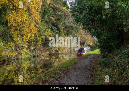 Kanalboot in Stourport auf Severn, Worcestershire, England Stockfoto