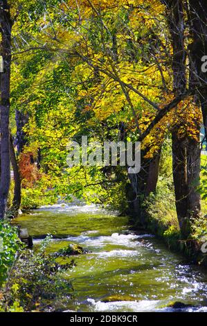 Idyllischer Bergbach mit Bäumen in Herbstfarben am Ufer in schönem Sonnenlicht Stockfoto