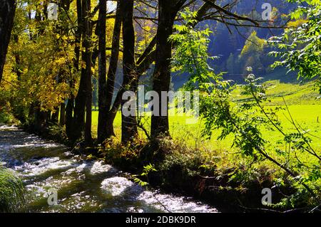 Idyllischer Bergbach mit Bäumen in Herbstfarben am Ufer in schönem Sonnenlicht Stockfoto