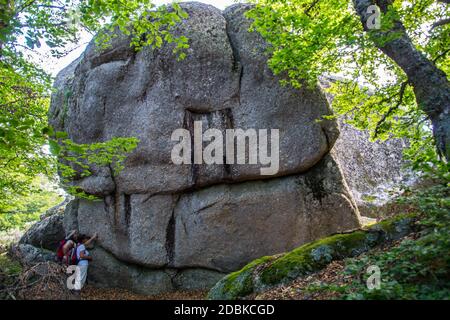 Massiv von der Daisy in Lozere Stockfoto