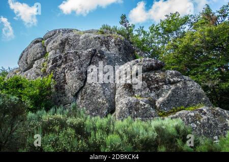 Massiv von der Daisy in Lozere Stockfoto