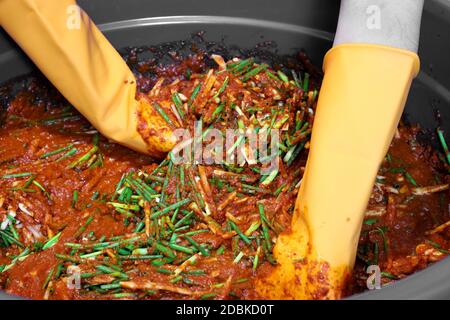 Ein Schritt bei der Herstellung von Kimchi ist, das gehackte Gemüse und Kimchi-Sauce miteinander zu mischen. Traditionelle koreanische Küche. Selbstgemacht. Selektiver Fokus. Stockfoto