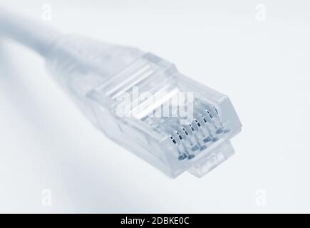 Nahaufnahme des rj45-Steckers des Patchkabel für LAN-Verbindung über weißem Hintergrund. Stockfoto